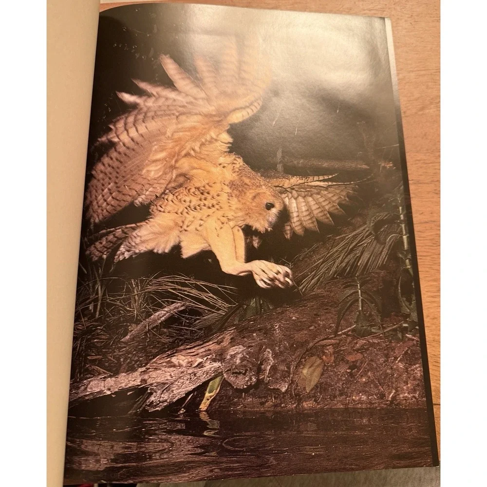 Audubon Society Book of‎ Water Birds 1987 Abrams Les Line